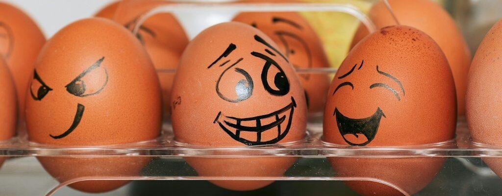 orange and white egg on stainless steel rack